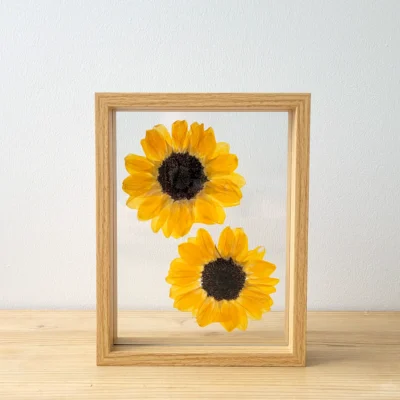 Voorkant van fotolijst met een compositie van geperste zonnebloemen.