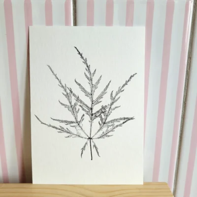 Foto van de voorkant van een monoprint op A6-formaat van een blad van de Japanse esdoorn