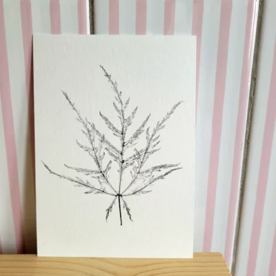 Foto van de voorkant van een monoprint op A6-formaat van een blad van de Japanse esdoorn